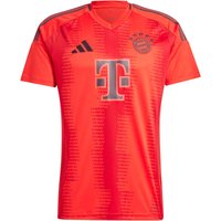 adidas FC Bayern München Heimtrikot 2024/25 Herren IT8511 - red XL von adidas performance