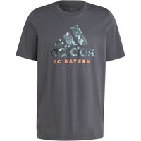 adidas FC Bayern München SZN Graphics T-Shirt 2024/25 Herren A0TV - dkgrey M von adidas performance