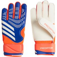 adidas Predator Match Torwarthandschuhe Herren IX3879 - lucid blue/solar red/white 9.5 von adidas performance