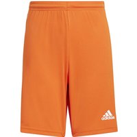 adidas Squadra 21 Shorts Kinder team orange/white 176 von adidas performance