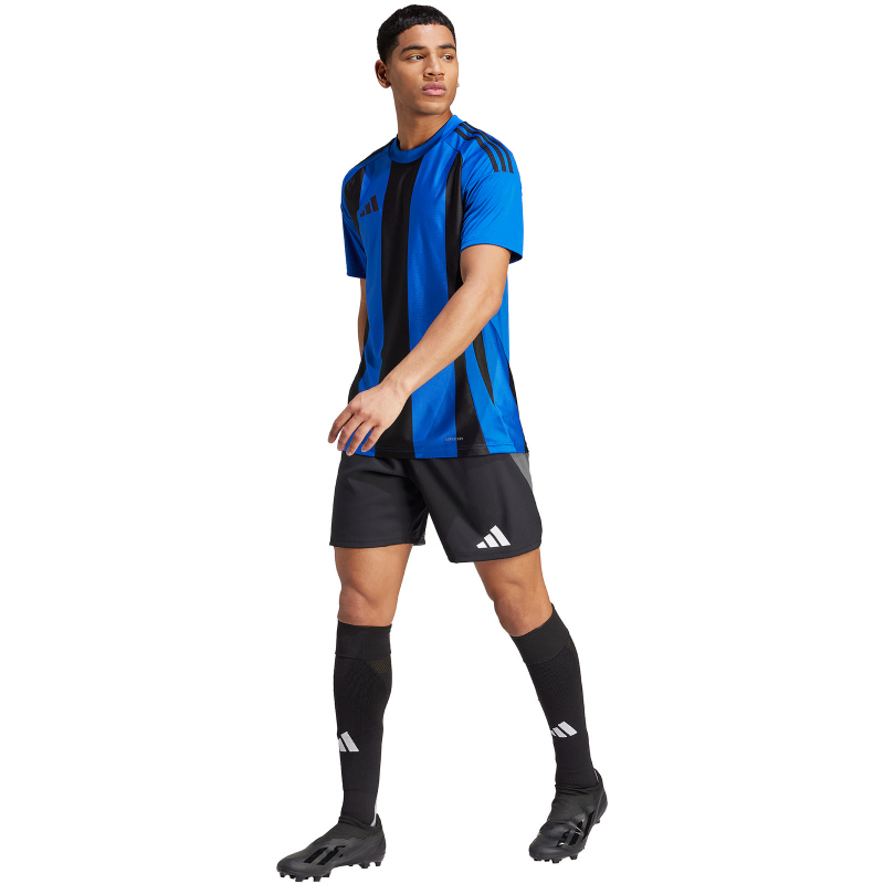 adidas Striped 24 Fußballtrikot Herren AD8R - royblu/black M von adidas performance