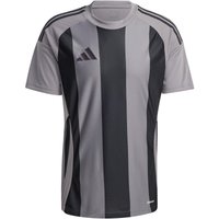 adidas Striped 24 Fußballtrikot Herren AE2C - tegrfo/black S von adidas performance