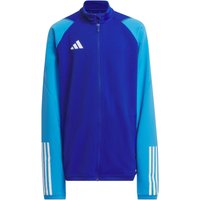 adidas Tiro 23 Competition Trainingsjacke Kinder HU1304 - team royal blue/pulse blue 116 von adidas performance