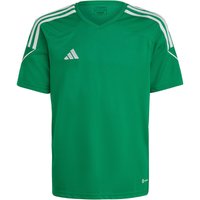 adidas Tiro 23 League Trikot Kinder IC7483 - team green/white 116 von adidas performance