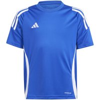 adidas Tiro 24 Fußballtrikot Kinder IS1032 - team royal blue/white 128 von adidas performance