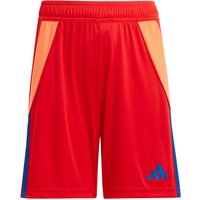 adidas Tiro24 Trainingsshorts Kinder 013A - red/royblu 176 von adidas performance