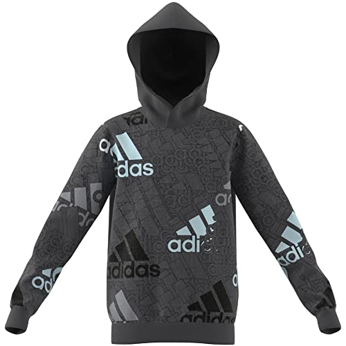 Adidas Unisex Kids Sweatshirt (Long Sleeve) U Bl Logo Sweat, Grey Six, HP0823, 152 von adidas