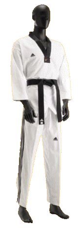 Taekwondo Dobok adidas Fighter 180 cm von adidas
