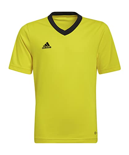adidas Performance Entrada 22 Trikot Kids gelbschwarz 128 adidas Performance Entrada 22 Trikot Kids gelbschwarz 128 von adidas