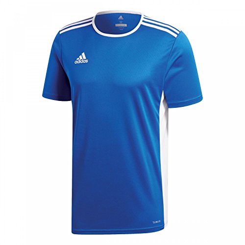 adidas Herren Entrada 18 Trikot, Bold Blue/White, L adidas Herren Entrada 18 Trikot, Bold Blue/White, L von adidas