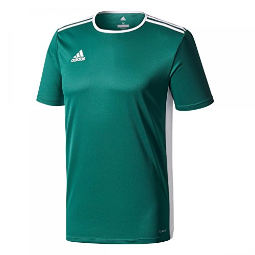 adidas Herren Entrada 18 Trikot, Collegiate Green/White, XL von adidas