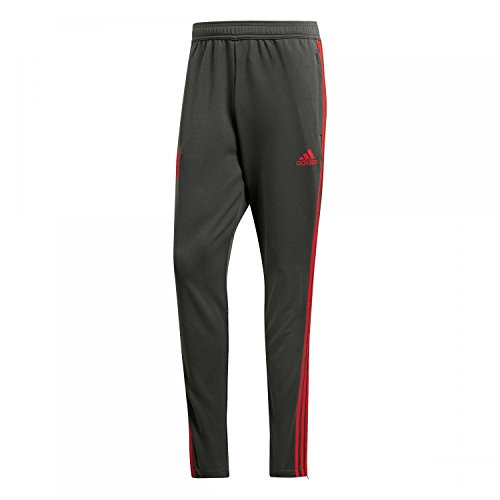 adidas Herren FCB TR PNT Pants, Utility ivy/Red, M von adidas