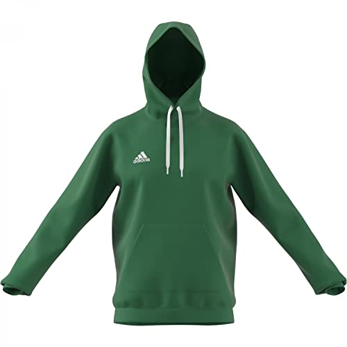 adidas Herren Entrada 22 Sweat Hoodie, Team Green / White, L von adidas