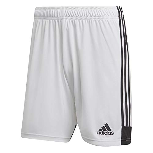 adidas Herren TASTIGO19 SHO Sport Shorts, white/Black, M von adidas
