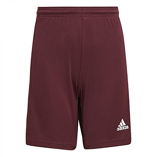 adidas Squad 21 Shorts Tmmaro/White 176 von adidas