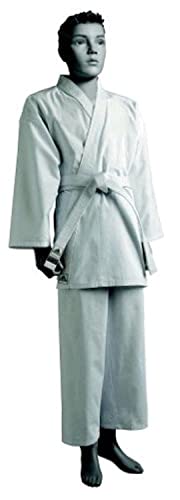 adidas Karateanzug K200E Kids Kinder Judo Anzug (inkl. Gürtel), Weiß, 100/110 adidas Karateanzug K200E Kids Kinder Judo Anzug (inkl. Gürtel), Weiß, 100/110 von adidas
