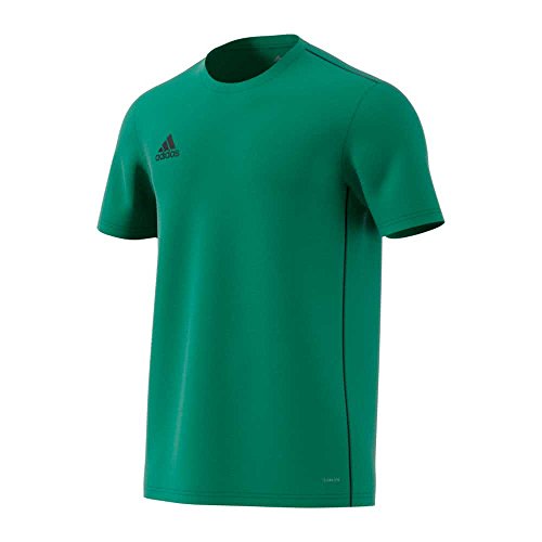 adidas Kinder CORE18 Y Jersey, Grün (bold green/schwarz), 164 von adidas