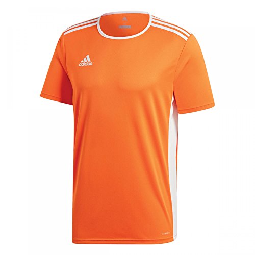 adidas Kinder Entrada 18 Trikot, Orange/White, L von adidas