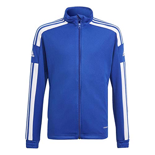 adidas Unisex Kinder Squadra 21 Training Jacket, Royal Blue / White, 15-16 Years adidas Unisex Kinder Squadra 21 Training Jacket, Royal Blue / White, 15-16 Years von adidas