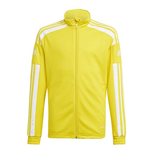 adidas Unisex Kinder Squadra 21 Training Jacket, Team Yellow / White, 13-14 Years adidas Unisex Kinder Squadra 21 Training Jacket, Team Yellow / White, 13-14 Years von adidas