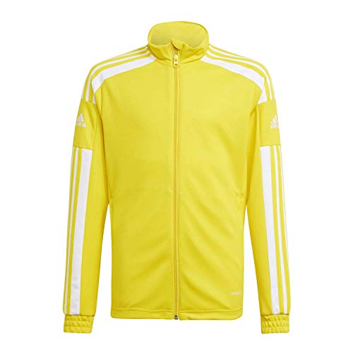 adidas Jungen Sq21 Trainingsjacke, Team Yellow/White, 164 EU von adidas