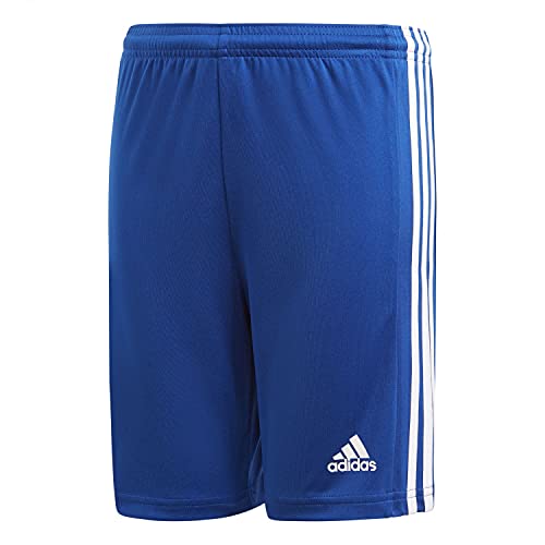 adidas Unisex Squad 21 Sho Y Hose, Royblu/White, 152 EU von adidas