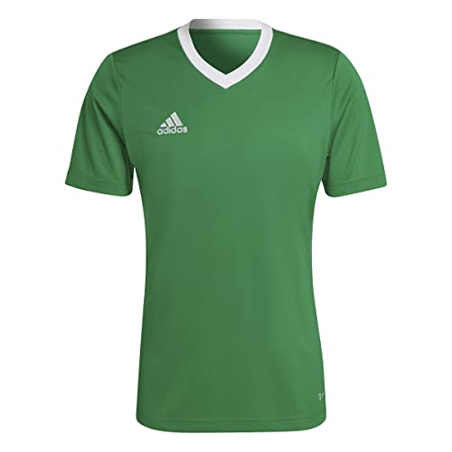 Adidas HI2123 ENT22 JSY T-shirt Men's team green/white XS von adidas