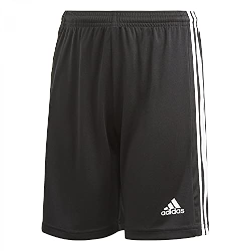 adidas Squad 21 Shorts Black/White 176 von adidas