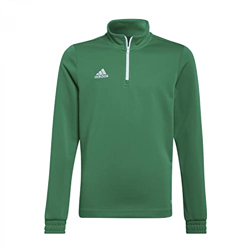 adidas Unisex Kinder ent22 tr topy Sweatshirt, Team Green/White, 13-14 Jahre EU von adidas