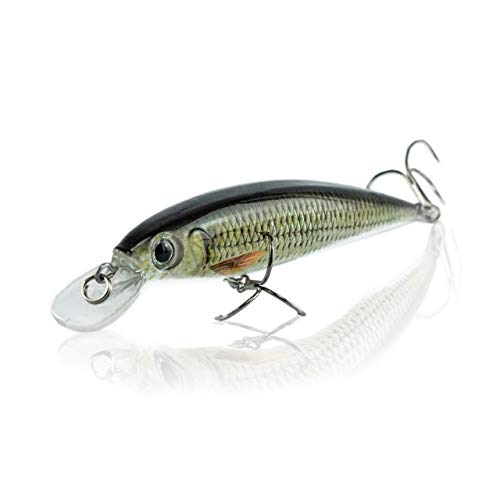 aoory Jerkbait Eleganter Wobbler Köder Hecht Zander Barsch Forellen Angel Köder aoory Jerkbait Eleganter Wobbler Köder Hecht Zander Barsch Forellen Angel Köder von aoory