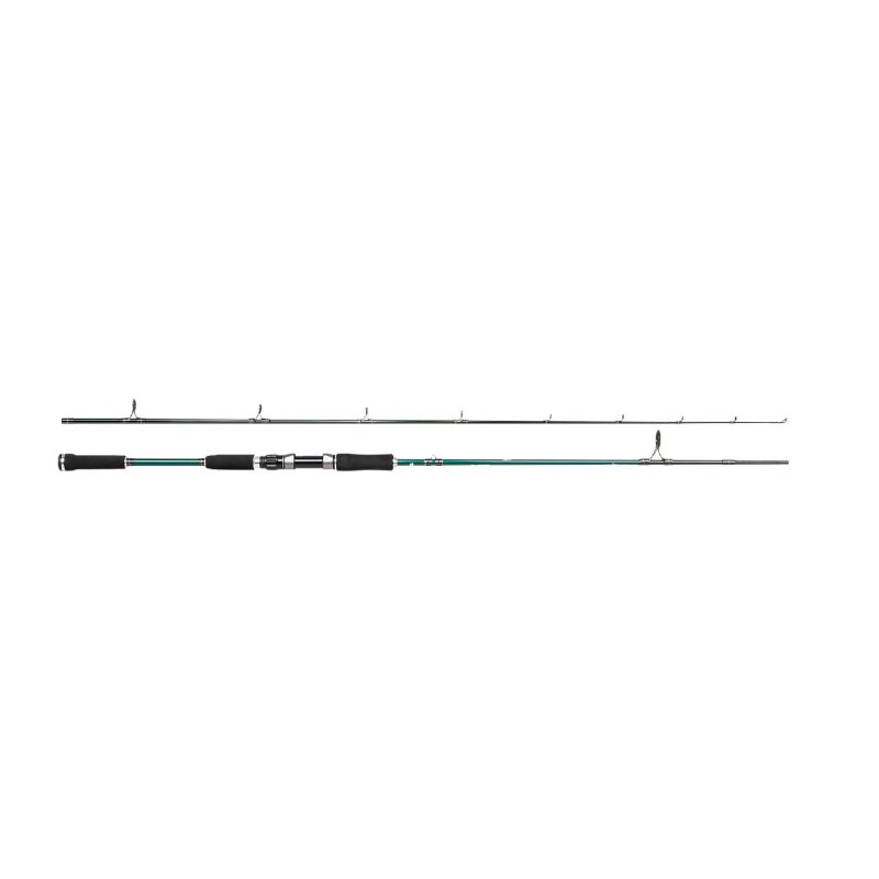 ABU GARCIA Beast X Pike Spinning Rod 2,74m 60-120g