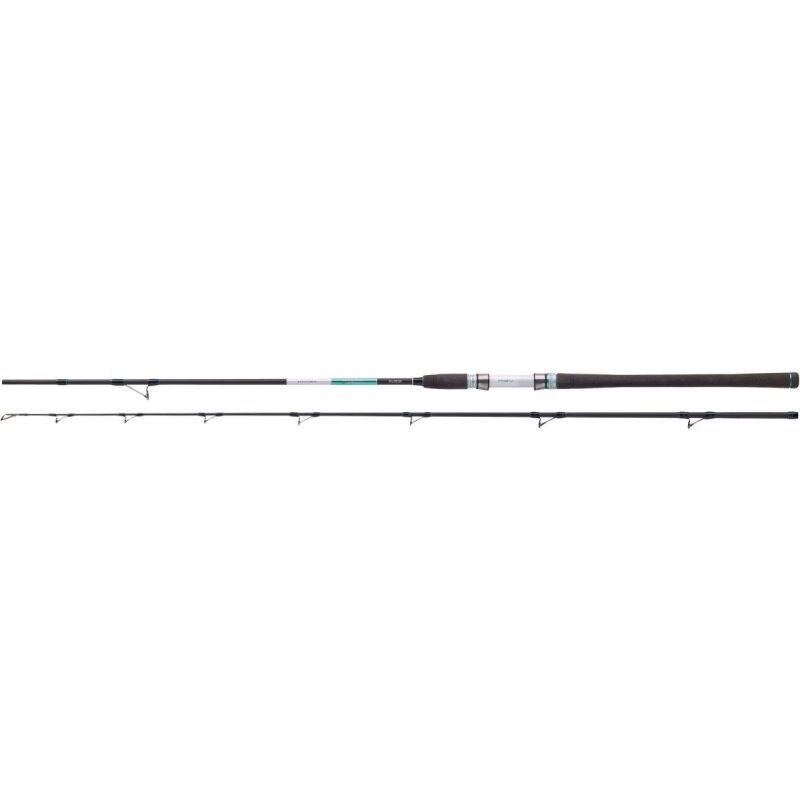 BALZER 71° North Flexo Pilk 2,1m 40-200g BALZER 71° North Flexo Pilk 2,1m 40-200g
