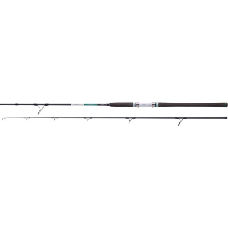 BALZER 71° North Power Pilk 2,45m 100-275g BALZER 71° North Power Pilk 2,45m 100-275g
