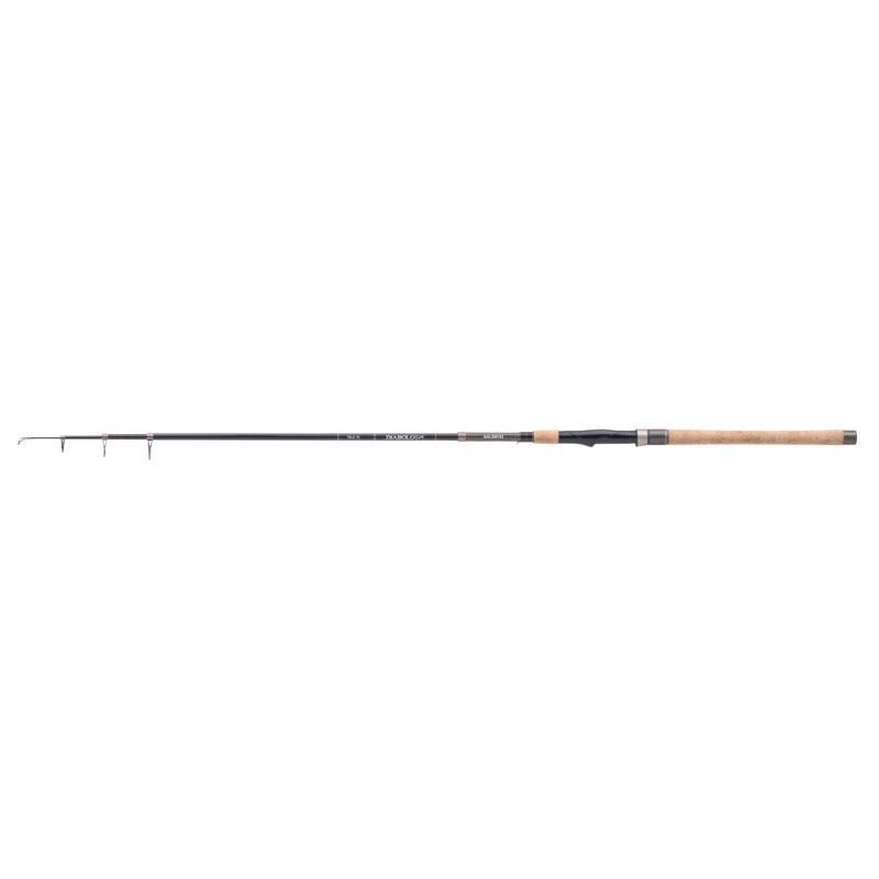 BALZER Diabolo Fury Tele 70 2,4m 25-70g BALZER Diabolo Fury Tele 70 2,4m 25-70g