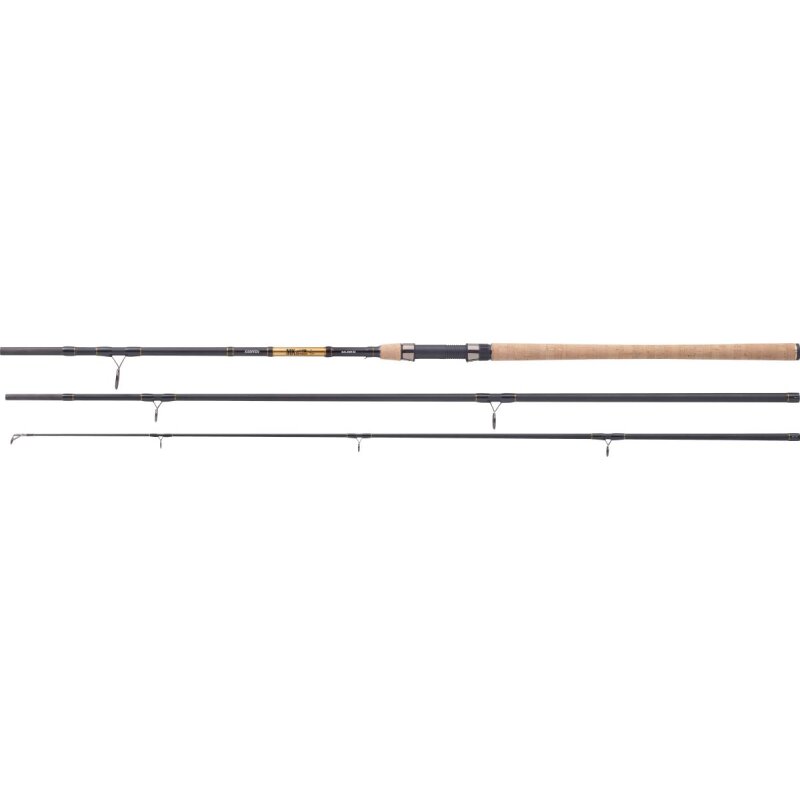 BALZER MK Adventure IM-6 Karpfen 3,3m 30-80g BALZER MK Adventure IM-6 Karpfen 3,3m 30-80g