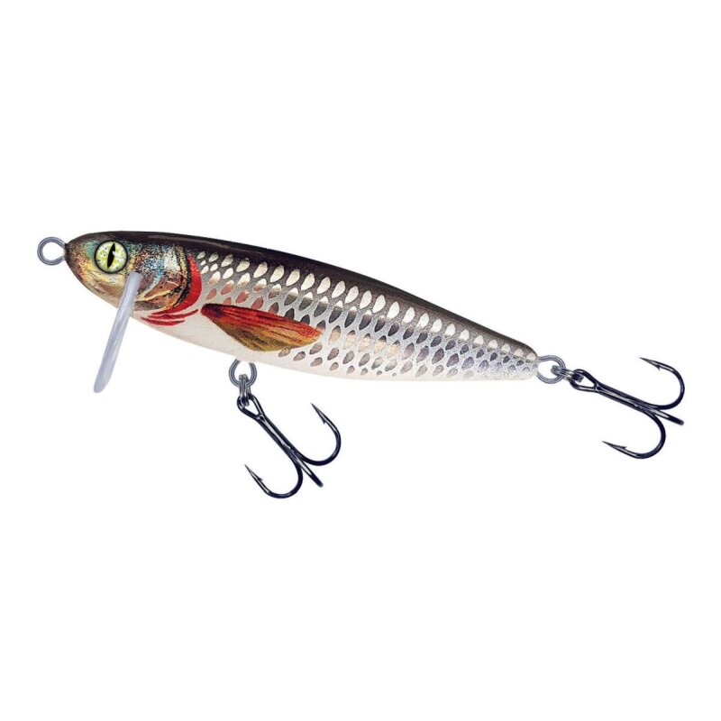 BALZER Shirasu Rapfen 7cm 9g Roach BALZER Shirasu Rapfen 7cm 9g Roach