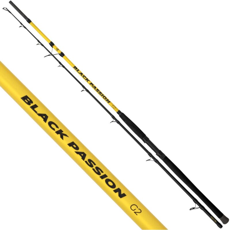 BLACK CAT Black Passion G2 Allround 2,7m bis 600g BLACK CAT Black Passion G2 Allround 2,7m bis 600g