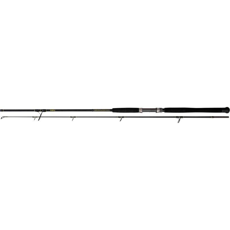 BLACK CAT Solid Spin 2,4m 40-160g BLACK CAT Solid Spin 2,4m 40-160g