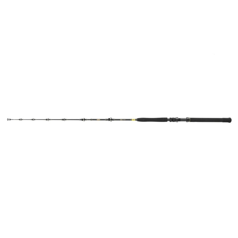 DAIWA BG Big Game 1,68m 30-50lb