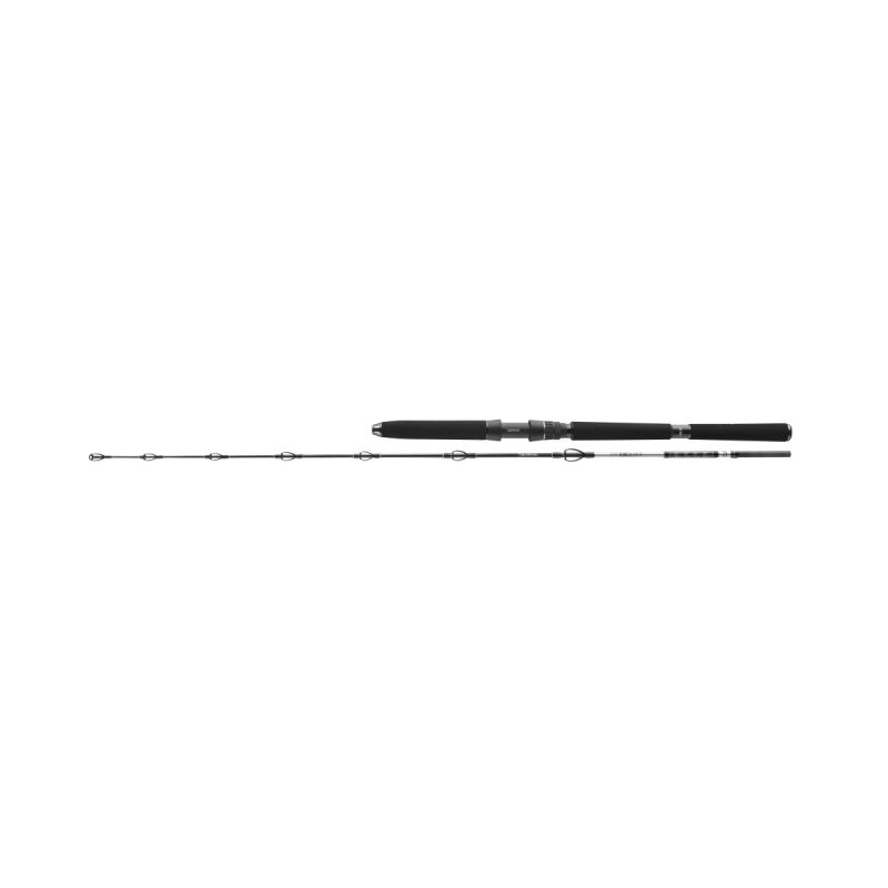 DAIWA BG Deep Sea 1,75m bis 30lb DAIWA BG Deep Sea 1,75m bis 30lb