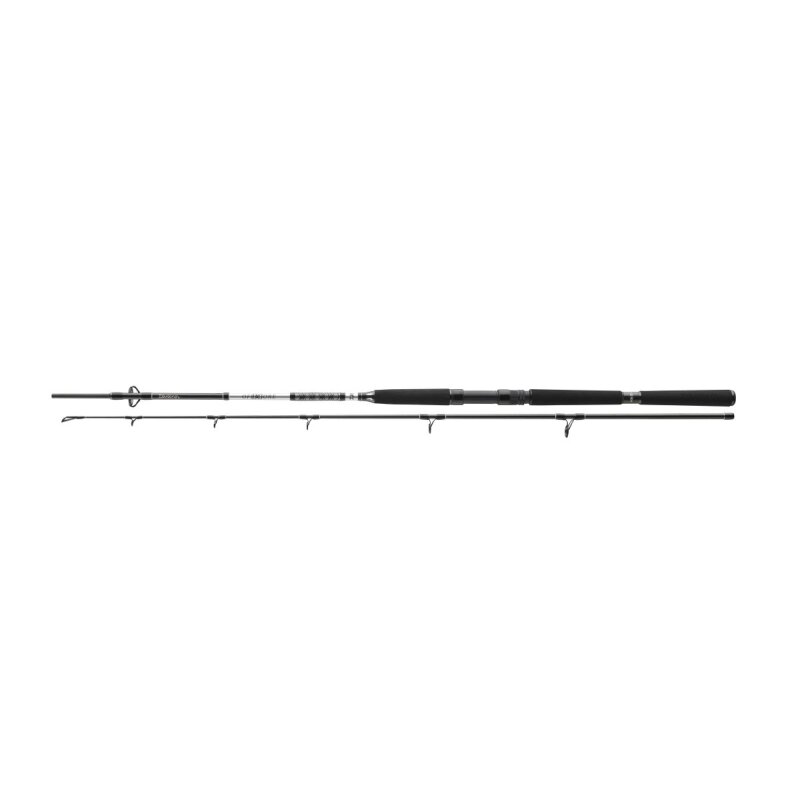 DAIWA BG Offshore Boat 2,1m 150-400g DAIWA BG Offshore Boat 2,1m 150-400g
