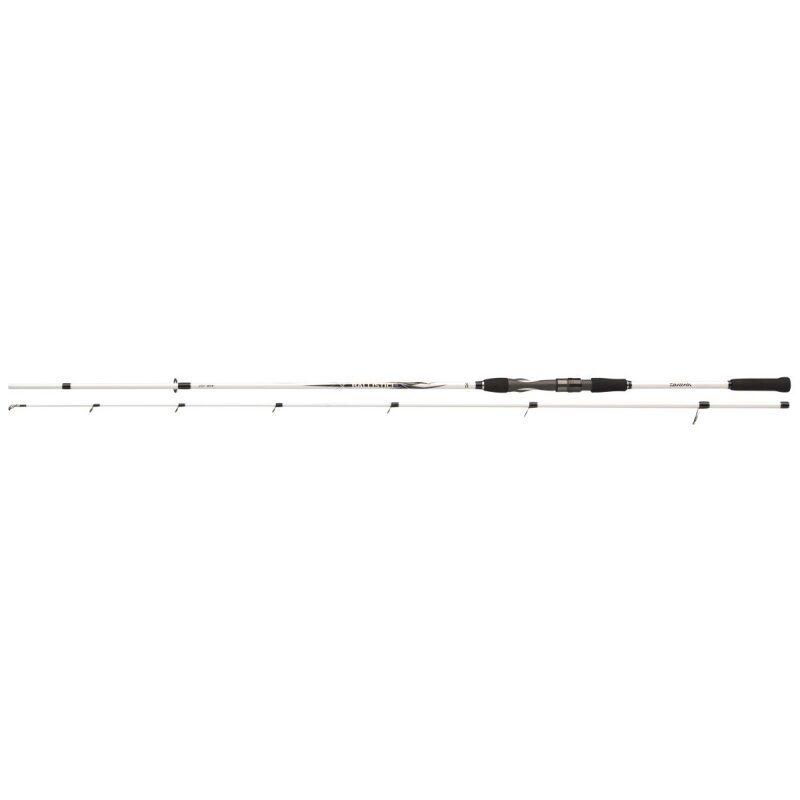 DAIWA Ballistic LTD Big Bait XH 2,55m 50-110g DAIWA Ballistic LTD Big Bait XH 2,55m 50-110g