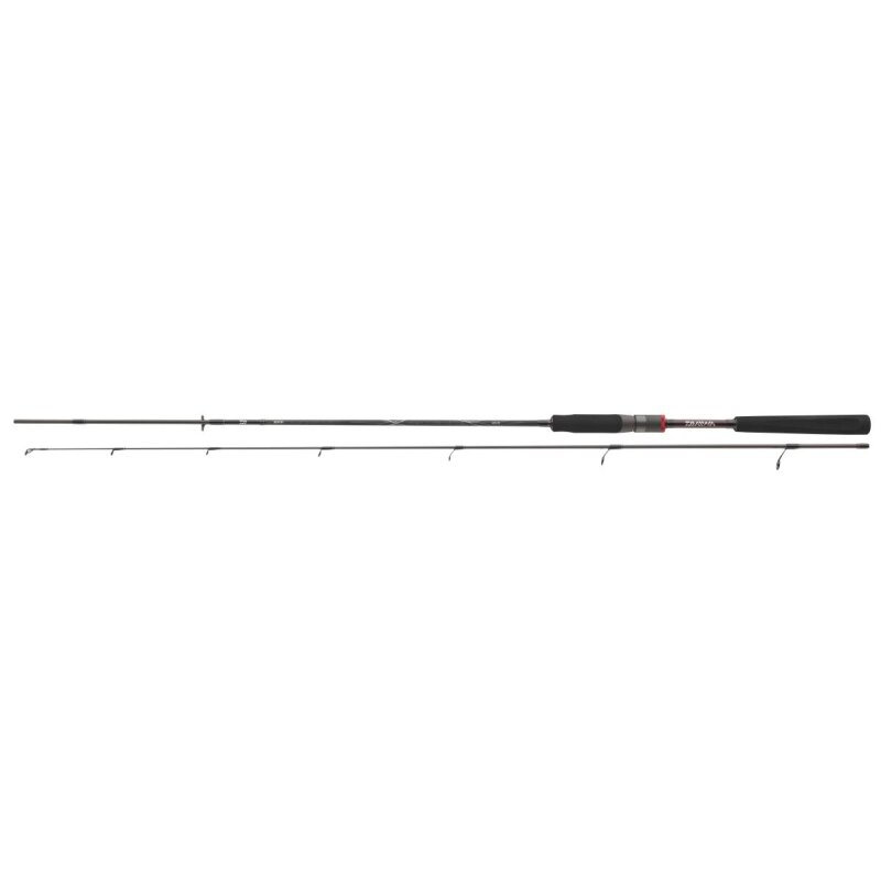 DAIWA Ballistic X Spin M 2,4m 10-40g