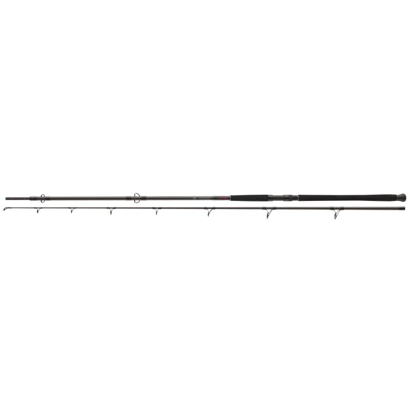 DAIWA Exceler Catfish Boje 3,3m 200-600g DAIWA Exceler Catfish Boje 3,3m 200-600g