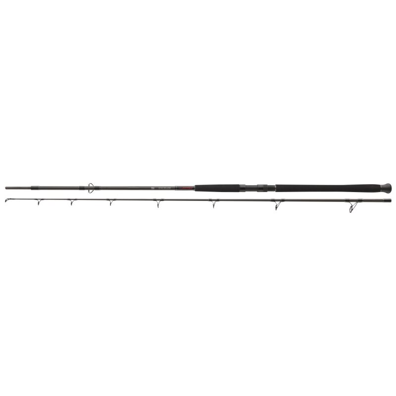 DAIWA Exceler Catfish Boje 3m 200-600g DAIWA Exceler Catfish Boje 3m 200-600g