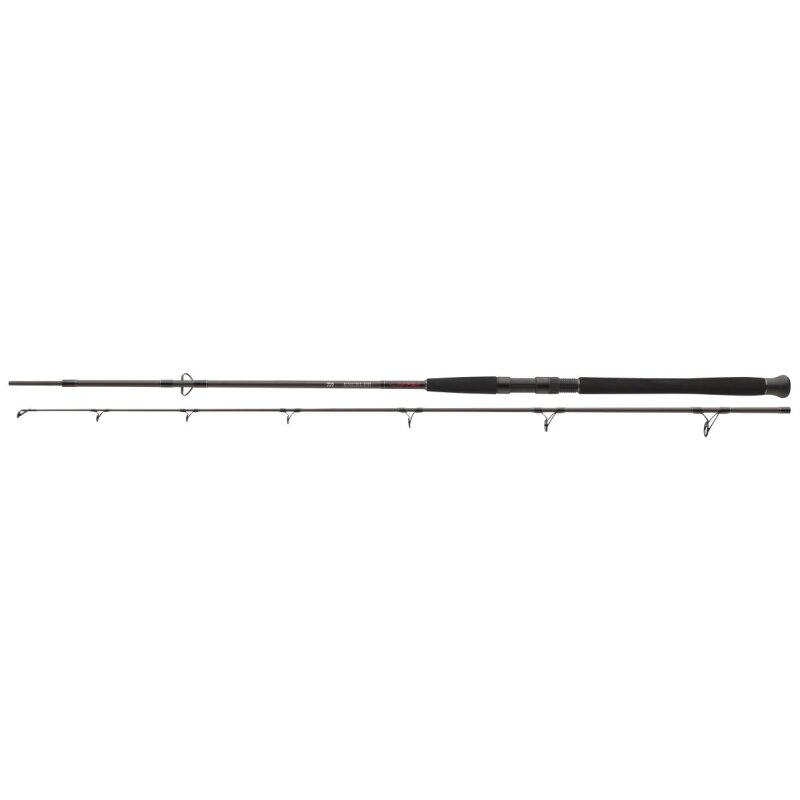 DAIWA Exceler Catfish Spin 2,7m bis 185g DAIWA Exceler Catfish Spin 2,7m bis 185g