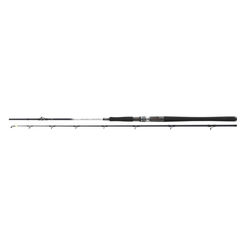 DAIWA Grandwave Power Halibut Baitcast 2,25m 30-40lb DAIWA Grandwave Power Halibut Baitcast 2,25m 30-40lb