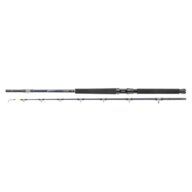 DAIWA Tanacom Ultra Deep 2,1m 400-1000g DAIWA Tanacom Ultra Deep 2,1m 400-1000g