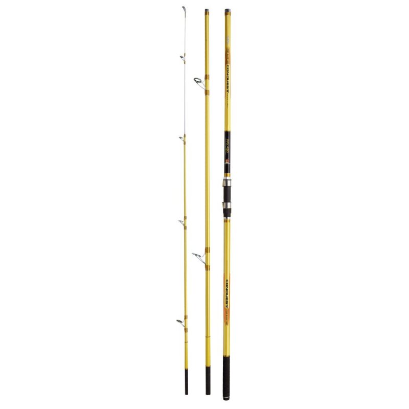 DEGA Conquest Surf 4,2m 100-250g DEGA Conquest Surf 4,2m 100-250g