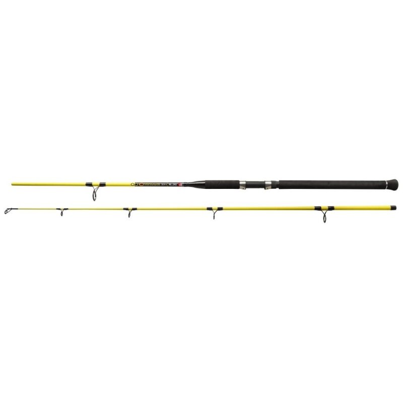 DEGA Continuum Sea MH Norwegen Angelrute 2,4m 100-400g DEGA Continuum Sea MH Norwegen Angelrute 2,4m 100-400g